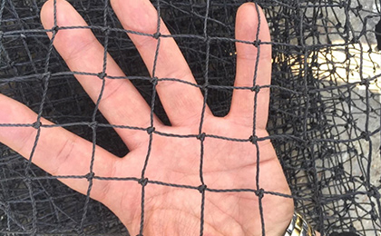 Knotted-Netting