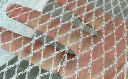 Bird Netting