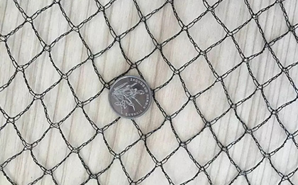 Bird Netting