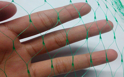 Bird Netting