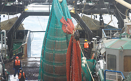 Fishing Nets